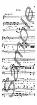 Skaersommerduft Op. 4 Nr. 5 von Ludolf Nielsen 