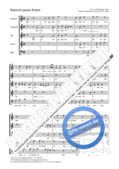 Surrexit pastor bonus C-Dur von Orlando di Lasso (Download) 