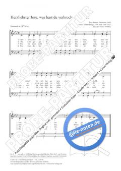 Herzliebster Jesu, was hast du verbrochen von Ulrich Führe (Download) 