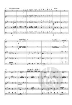 Der Karneval der Tiere (1886) bearbeitet für Bläserquintett (Camille Saint-Saëns) 