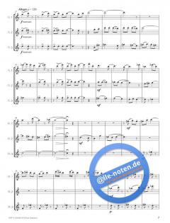Four Seasons von Mario Valsania 