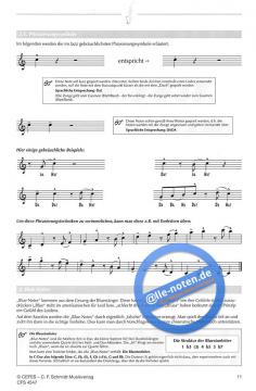 Jazz Studies von Martin Stolz 