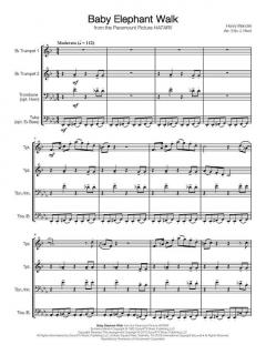 Baby Elephant Walk von Henry Mancini 