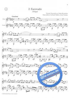Brazilian Folk Tunes for Flute & Guitar von Julian Byzantine 