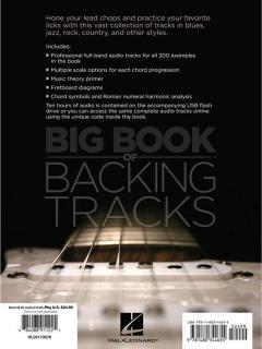 Big Book Of Backing Tracks von Chad Johnson 
