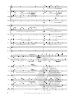 Drei Haselnüsse für Aschenbrödel von Karel Svoboda für sinfonisches Orchester im Alle Noten Shop kaufen