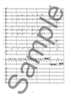 Concerto for Percussion and Orchestra von Anders Koppel im Alle Noten Shop kaufen (Partitur)