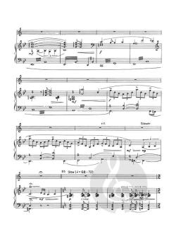 Nightsongs von Richard Peaslee 