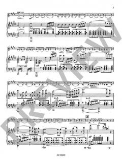 Konzert cis-Moll op. 2 von Franz Berwald für Violine und Klavier im Alle Noten Shop kaufen