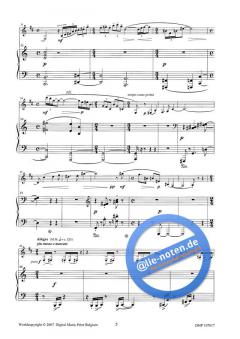 Sonatina von Hendrik de Regt 