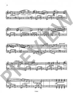 Studies von Karel Janecek 