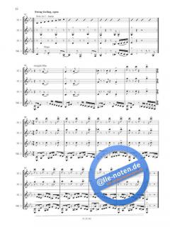 Alles Walzer von Viola Falb 