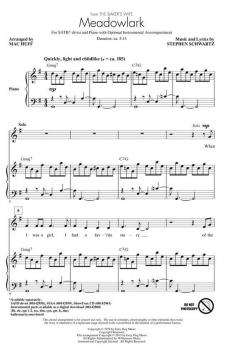 Meadowlark von Stephen L. Schwartz (Download) 