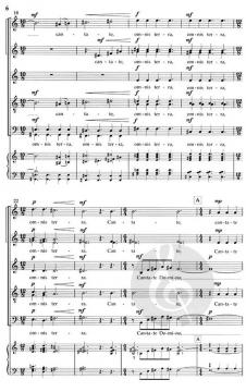 Canticum Novum (Ivo Antognini) 