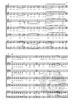 Canticum Novum (Ivo Antognini) 