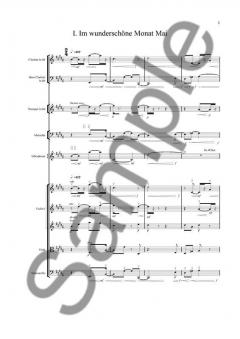 Robert Schumann's Dichterliebe 