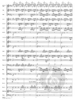 Avengers: Age of Ultron von Danny Elfman (Download) 