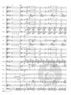 Avengers: Age of Ultron von Danny Elfman (Download) 