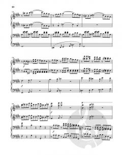 Streichquartette op. 51 and 67 von Johannes Brahms 