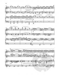 Streichquartette op. 51 and 67 von Johannes Brahms 