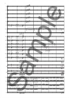 Mixed Messages von Nico Muhly (Download) 