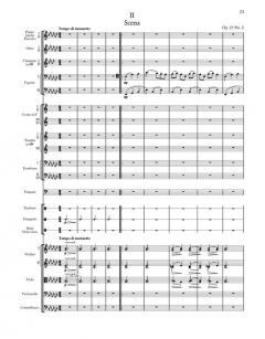 Sämtliche Werke Serie I Band 15 von Jean Sibelius 