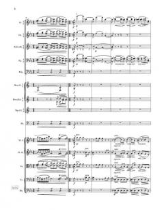 Symphonie Nr. 1 c-moll op. 68 von Johannes Brahms 