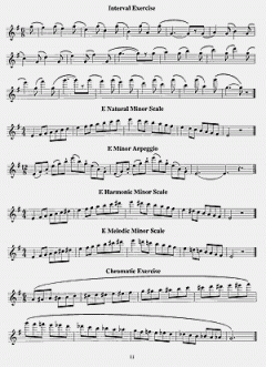 Indispensable Scales, Exercises & Etudes for the Developing Flutist von Antonio Carlos Jobim 