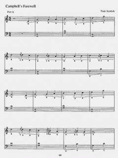 Basic Harp For Beginners von Laurie Riley 