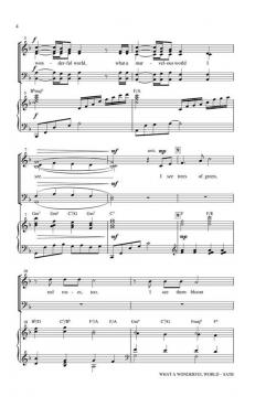 What A Wonderful World (Louis Armstrong) 