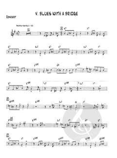 14 Blues & Funk Etudes von Bob Mintzer für Instrumente in C im Alle Noten Shop kaufen