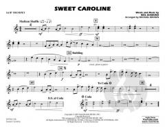 Sweet Caroline von N. Diamond 