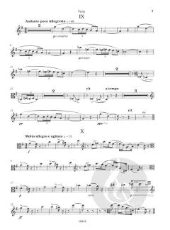 A Mosaic in 10 Pieces von Richard H. Walthew 