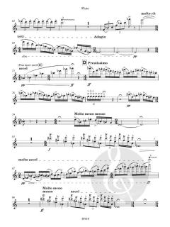 Ryers Down von Karl Jenkins 