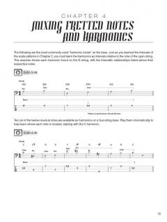 Advanced Rock Bass 