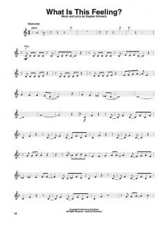 Violin Play-Along Vol. 55: Wicked von Stephen L. Schwartz im Alle Noten Shop kaufen