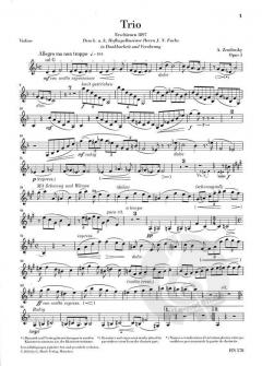 Trio d-moll op. 3 (Alexander von Zemlinsky) 