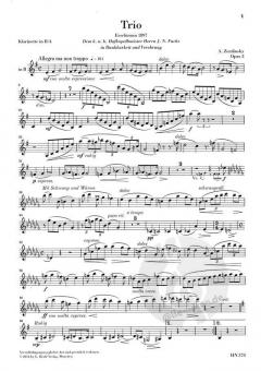 Trio d-moll op. 3 (Alexander von Zemlinsky) 