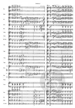 The Pink Panther (Henry Mancini) 