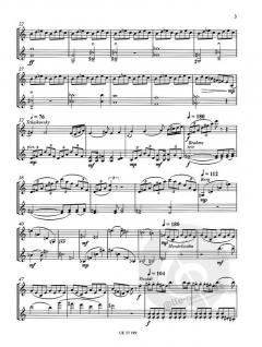 The Soloist's Ultimate Happy Birthday von Aleksey Igudesman 
