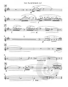 Tell Her You Saw Me (Pat Metheny) 