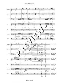 Mein Böhmerland - DOWNLOAD (Wolfgang Vetter-Lohre) 