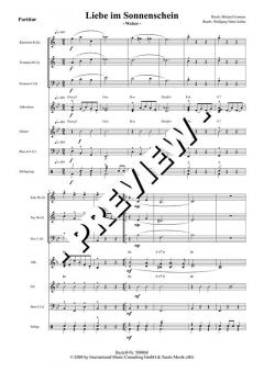 Liebe im Sonnenschein - DOWNLOAD (Michael Lommer) 