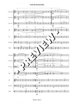 Liebe im Sonnenschein - DOWNLOAD (Michael Lommer) 