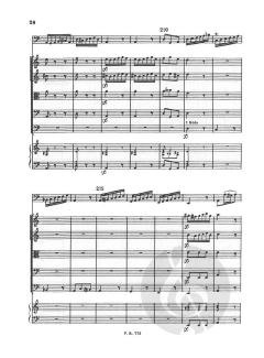 Concerto A Minor Bassoon Strings Continuo Rv499 Score Fviii#12 T223 (Antonio Vivaldi) 