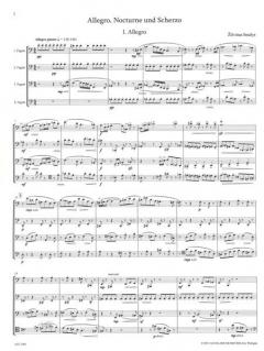 Allegro, Nocturne und Scherzo von Zilvinas Smalys 