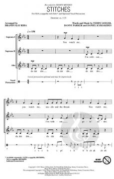 Stitches von Shawn Mendes (Download) 