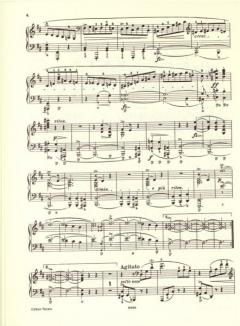 Scherzi, F-Moll-Fantasie von Frédéric Chopin für Klavier im Alle Noten Shop kaufen