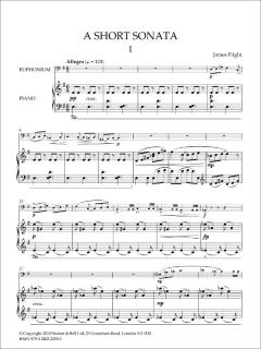 A Short Sonata 