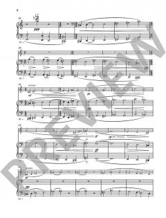 Black Hymns von Fazil Say 